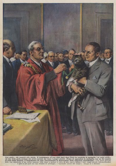 Kot? które przejdzie do historii autorstwa Achille Beltrame