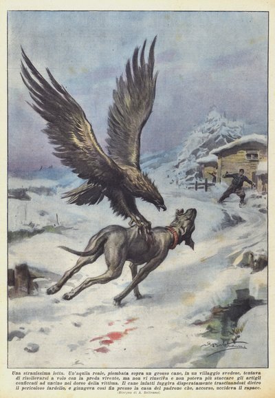 Bardzo dziwna walka autorstwa Achille Beltrame