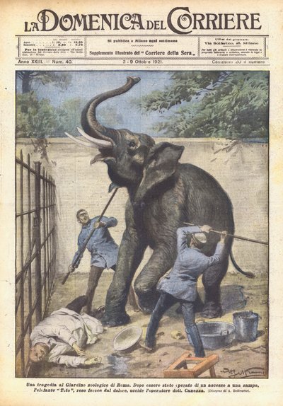 Tragedia w Ogrodzie Zoologicznym w Rzymie autorstwa Achille Beltrame