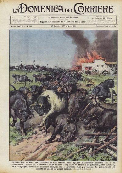 Inwazja byków autorstwa Achille Beltrame