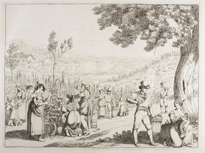 Winobranie autorstwa Achille Pinelli
