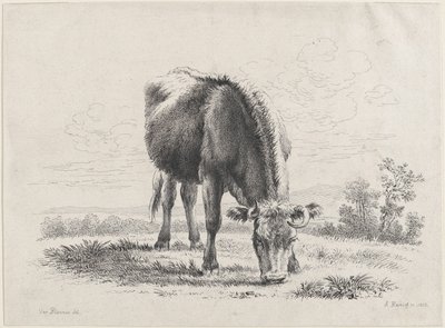 Wypas krów, 1805., 1805. autorstwa Adam von Bartsch
