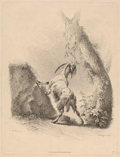 Koza w krajobrazie, 1805. autorstwa Adam von Bartsch