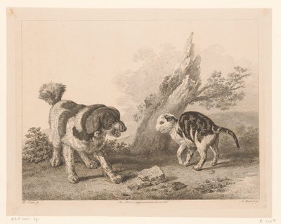 Pies i kot w walce przeciwko sobie Zwierzęta według obrazów mistrzów holenderskich (tytuł serii) Différens animaux graves d