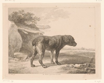 Stojący pies w krajobrazie Zwierzęta według obrazów mistrzów holenderskich (tytuł serii) Différens animaux graves d
