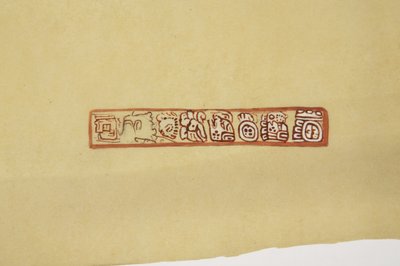 Projekt z doniczki Belize (dawniej Brytyjski Honduras) Wykonany na kalce kreślarskiej (akwarela) autorstwa Adela Breton