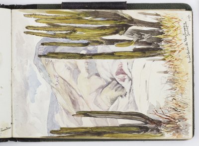 Szkicownik akwareli, Rysunki i notatki, Meksyk, 1896-1898 (akwarela) autorstwa Adela Breton
