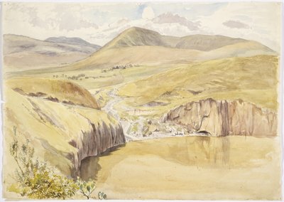 Alberea, niedaleko Santiago del Valle, Guanajuato, Meksyk (akwarela) autorstwa Adela Breton