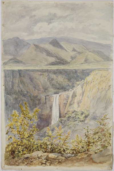Wodospad w Huauchinango, stan Puebla, Meksyk autorstwa Adela Breton