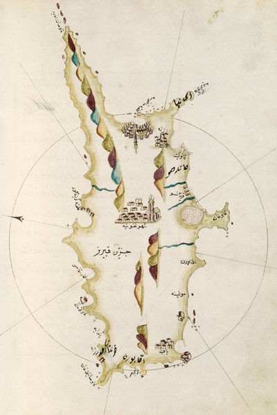 Mapa wyspy Cypru, ilustracja z atlasu Portolano, admirał Piri Reis (1465-1470 - 1553-1554) autorstwa Admiral Piri Reis