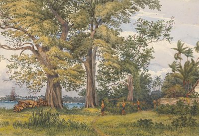 "Apia Bay, Upolu, Navigators Islands, [Samoa] z werandy mojej chorej kwatery, 6 listopada 1849 r. autorstwa Admiral Sir Edward Gennys Fanshawe