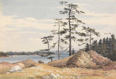 "Port Esquimalt, wyspa Vancouver, 28 czerwca 1851 [Kanada]". autorstwa Admiral Sir Edward Gennys Fanshawe