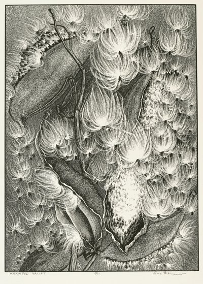 Balet Milkweed autorstwa Adolf Ernst Meissner