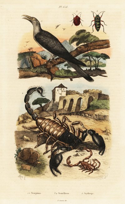 Scorpions and cuckoo.   1411731   pl       polish Successfully Translated  Original: Wayang (shadow puppets) Translat: Wayang (shadow puppets) 1408723 pl polish Successfully Translated Original: ""les sept arts liberaux"" (Arithmetique, geometrie, musique, autorstwa Adolph (after) Fries