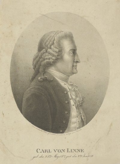 Portret Karola Linneusza 1707-1778, c. 1800. autorstwa Adolph Friedrich Kunike