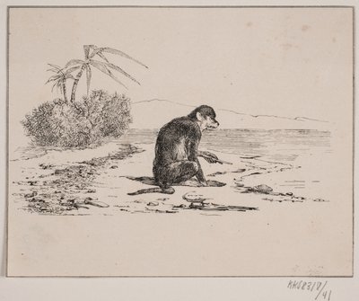 Małpi kot autorstwa Johan Adolph Kittendorff