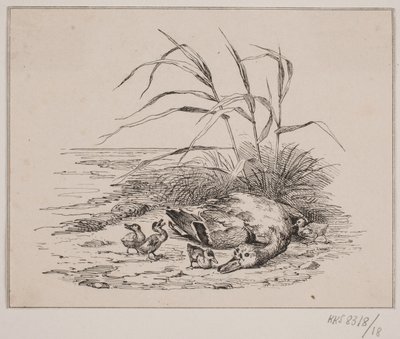 Zabita kaczka autorstwa Johan Adolph Kittendorff
