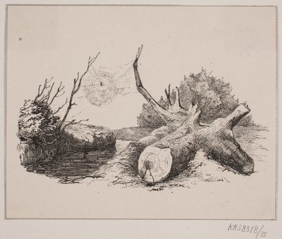 Ederkoppen autorstwa Johan Adolph Kittendorff