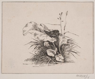 Skrzypce autorstwa Johan Adolph Kittendorff