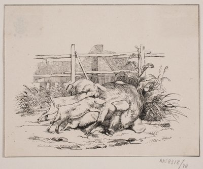 Świnie autorstwa Johan Adolph Kittendorff