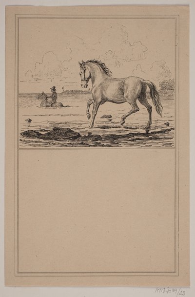 Koń w wodzie. Nie. 22 w Chr. Winther i M. Rørbye, „25 obrazków dla małych dzieci” autorstwa Johan Adolph Kittendorff