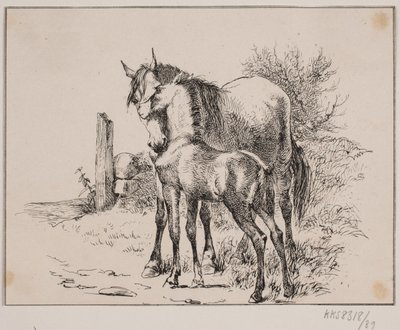 Koń i źrebię autorstwa Johan Adolph Kittendorff