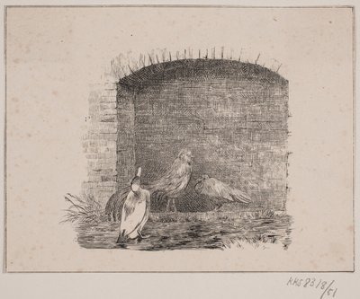 Kurczaki i kaczki? autorstwa Johan Adolph Kittendorff