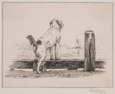 Pies na plaży autorstwa Johan Adolph Kittendorff