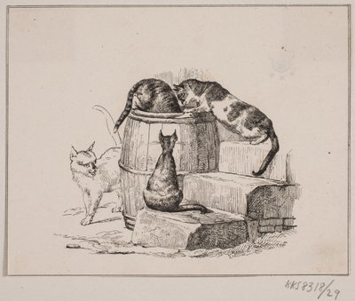 Koty autorstwa Johan Adolph Kittendorff