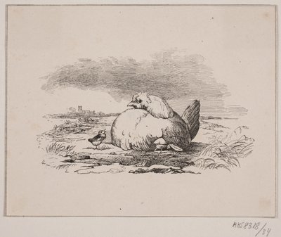 Kurczaki autorstwa Johan Adolph Kittendorff