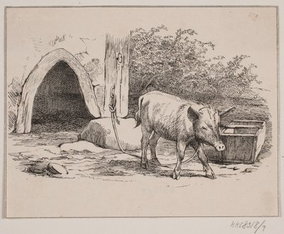 Świnia łańcuchowa autorstwa Johan Adolph Kittendorff