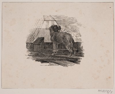Pies pudel autorstwa Johan Adolph Kittendorff