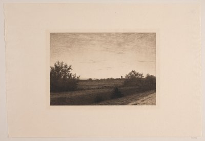 Letni wieczór w Rødovre autorstwa Adolph Larsen