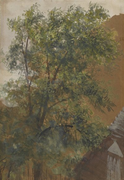 Widok z okna na dziedzińcu jego pracowni przy Marienstraße 22 autorstwa Adolph Menzel
