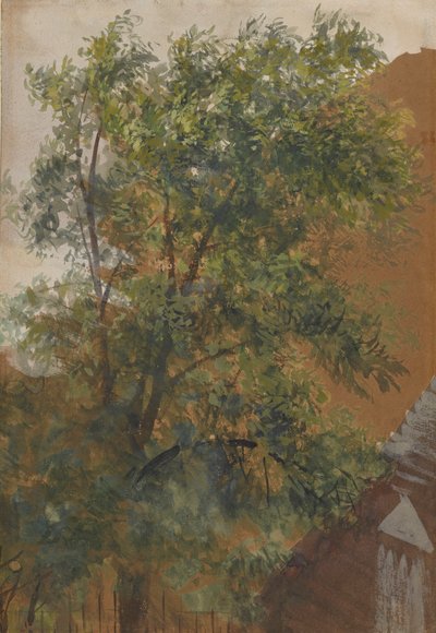 Widok z okna na dziedziniec jego pracowni przy ulicy Marienstraße 22 autorstwa Adolph Menzel