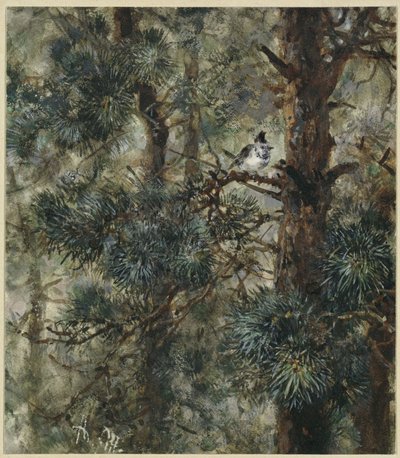  autorstwa Adolph Menzel