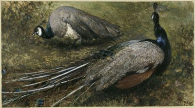  autorstwa Adolph Menzel