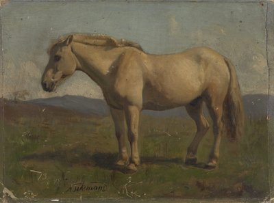  autorstwa Adolph Tidemand