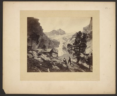 [Widok na Alpy z Faulhorn] autorstwa Adolphe Braun