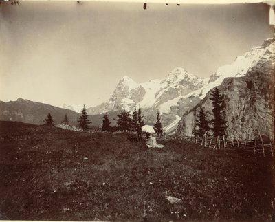 Krajobraz, Szwajcaria autorstwa Adolphe Braun