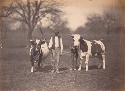 Krajobraz, ok. 1864 (zdjęcie) autorstwa Adolphe Braun
