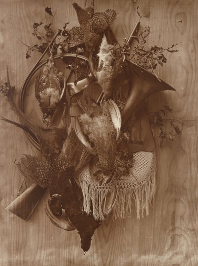 Bażant i Cietrzew, ca. 1865. autorstwa Adolphe Braun