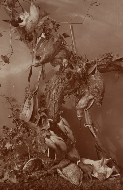 [Still Life: Dead Game] autorstwa Adolphe Braun