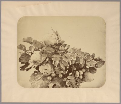 Martwa natura z pigwami i jagodami autorstwa Adolphe Braun