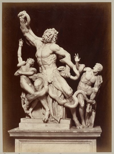 Laokoont w Muzeum Watykańskim autorstwa Adolphe Braun
