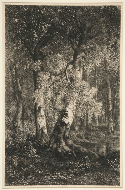 Buki autorstwa Adolphe Martial Potemont