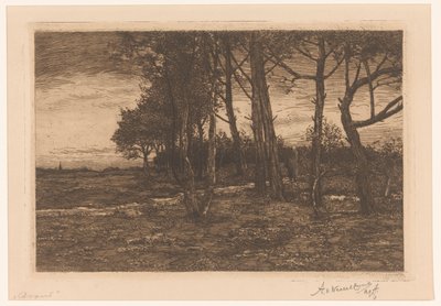 Krajobraz z drzewami Wieczór (tytuł na obiekcie) autorstwa Adolphe P.H J. van Weezel Errens (signed by artist)