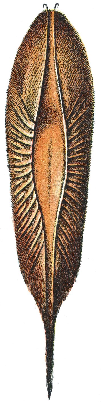 Etui na jajka Chimery autorstwa Adolphe Philippe Millot