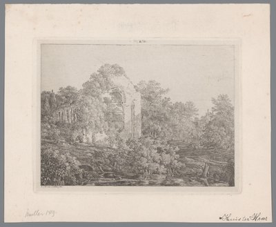 Widok na ruiny zamku de Haar autorstwa Adriaan Jacob Willem van Dielen
