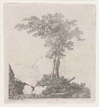 Dwa drzewa autorstwa Adriaan Jacob Willem van Dielen